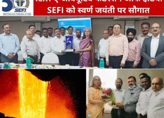 SEFI Logo-Website Launch SAIL Chairman Soma Mandal gave a big gift to the officers of SAIL, RINL, MECON, NMDC, Nagarnar Steel Plant before retirement