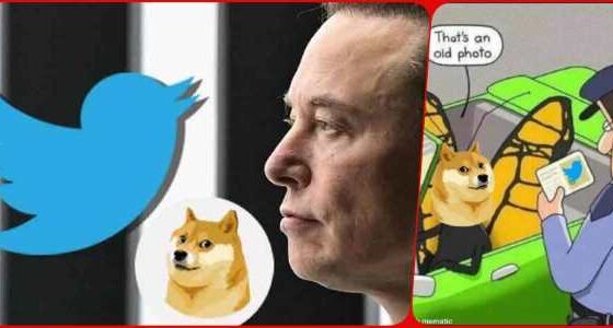 Twitter New Logo Elon Musk likes loyalty of dog not blue bird, changed logo overnight