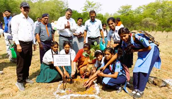Bhilai Township में हरियाली की चादर बिछनी शुरू, टीए बिल्डिंग से शुरुआत, 5 जून को हॉस्पिटल सेक्टर में रोपेंगे पौधे