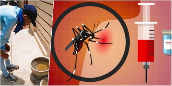 Dengue: Bhilai में 50 से ज्यादा लोगों की जान पूर्व में ले चुका है डेंगू, Township में घर-घर सर्वे शुरू