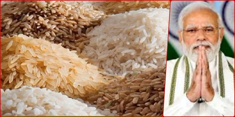 गेंहू की कीमत एक साल में 6.77% और चावल की 10.63% बढ़ी, जनता को राहत देने सरकार ने उठाया बड़ा कदम