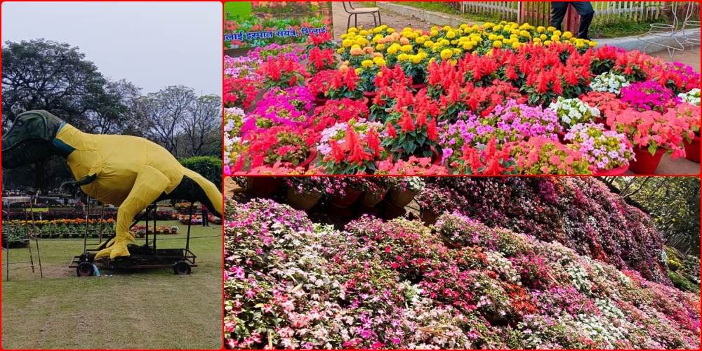 मैत्रीबाग फ्लावर शो 2024: आप भी आइए 4 फरवरी को, फूल, फल और लगेगा रंगोली का तड़का, प्रतियोगिता बिल्कुल फ्री