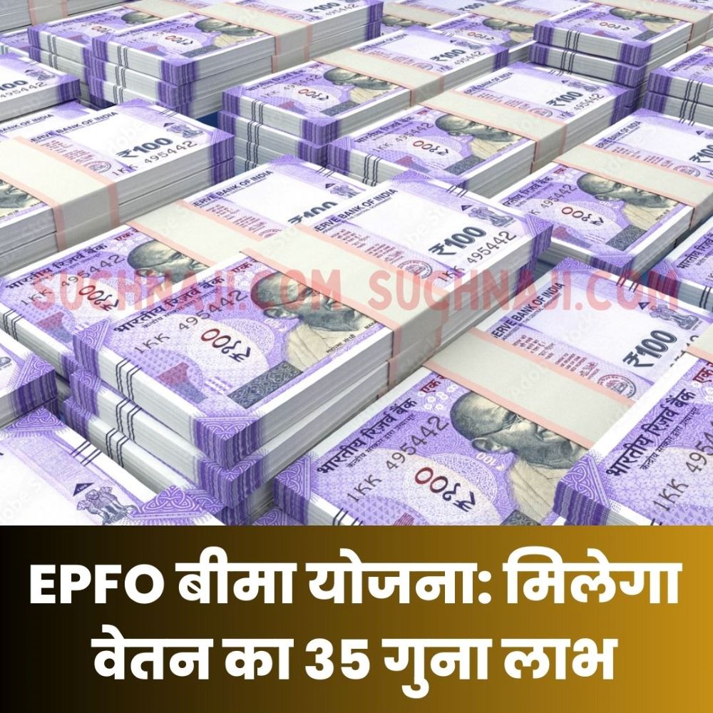 EPFO NEWS: EPF मेंबर बनते ही आप बीमा योजना के भी बन जाते हैं सदस्य, जानें कैसे लें वेतन के 35 गुना का लाभ