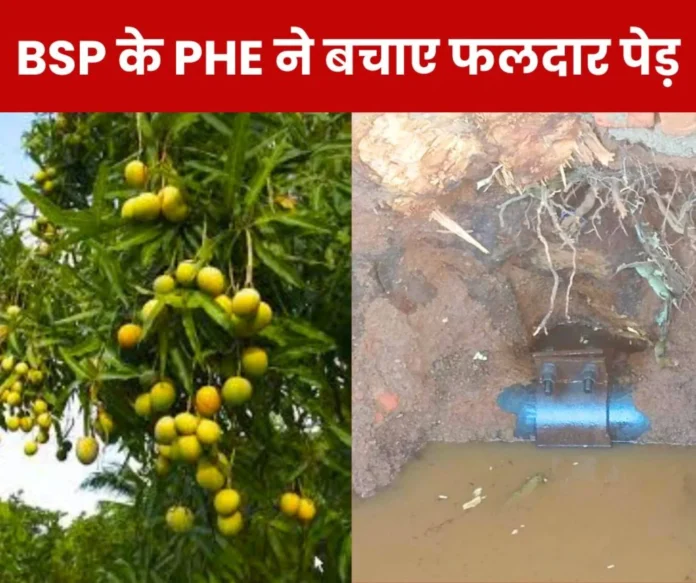 Bhilai Steel Plant supplied water to homes without cutting fruit trees, PHE praised Bhilai Steel Plant supplied water to homes without cutting fruit trees, PHE praised
