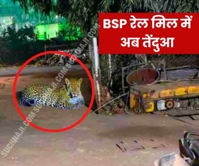 Breaking News Leopard sitting in the rail mill area of __Bhilai Steel Plant, siege by forest department, created panic Breaking News: Leopard sitting near the rail of Bhilai Steel Plant, forest department surrounded, created panic