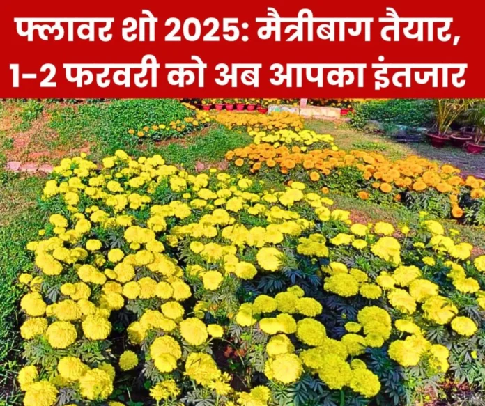 Enjoy 2 days of Maitribagh Flower Show, see Giraffe of Marigold, Mahakumbh and Rangoli of flowers in water Enjoy 2 days of Maitribagh Flower Show, see Giraffe of Marigold, Mahakumbh and Rangoli of flowers in water