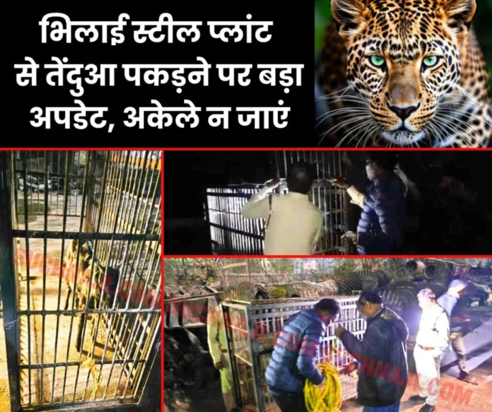 Forest Department, BSPs Maitribagh team is working with CISF to catch the leopard (1) Forest Department, BSPs Maitribagh team is working with CISF to catch the leopard (1)