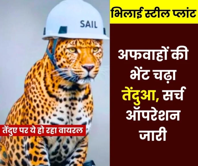 Is the leopard lurking somewhere in Bhilai Steel Plant or outside the gate Is the leopard lurking somewhere in Bhilai Steel Plant or outside the gate?