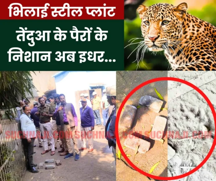 Leopard pug mark towards Bhilai Steel Plant Rail Mill, Merchant Mill, BRM, RCL, SMS-3 Leopard pug mark towards Bhilai Steel Plant Rail Mill, Merchant Mill, BRM, RCL, SMS-3
