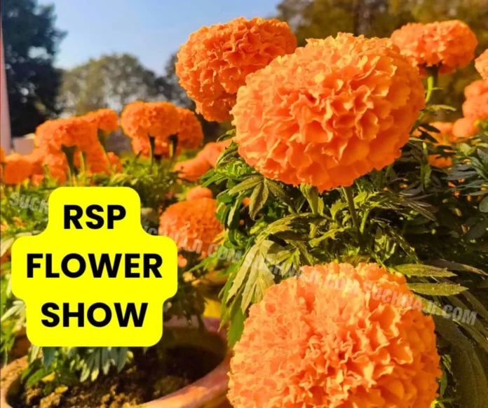 Rourkela Steel Plant's flower show on 18-19 January, you also participate, win prizes