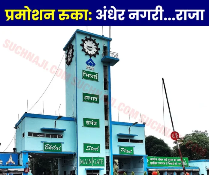 SAIL workers said - there was 100_ strike in Rajhara, no one's promotion stopped, why in Bhilai... SAIL workers said - there was 100% strike in Rajhara, no one's promotion stopped, why in Bhilai...?