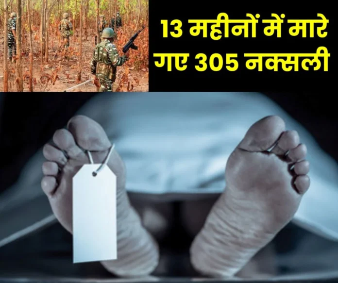305 Naxalites killed in Chhattisgarh in 13 months, 1177 arrested, 985 surrender 305 Naxalites killed in Chhattisgarh in 13 months, 1177 arrested, 985 surrender