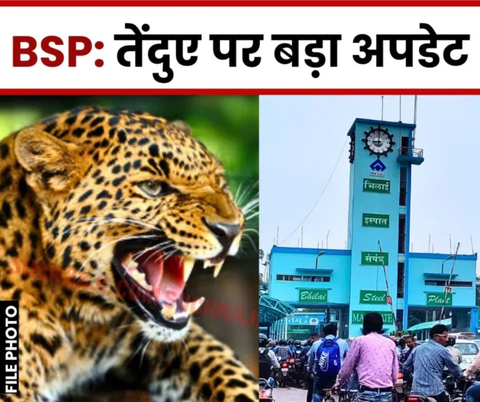 Breaking News Big update on leopard in Bhilai Steel Plant, Panchnama will be ready Breaking News: Big update on leopard in Bhilai Steel Plant, Panchnama will be ready