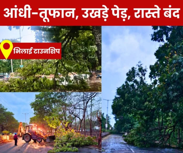Trees uprooted in the storm 15 trees fell on the main roads of Bhilai township, road closed power cut (1) Trees uprooted in the storm 15 trees fell on the main roads of Bhilai township, road closed power cut (1)